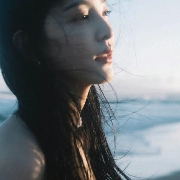 来自中国的熊猫